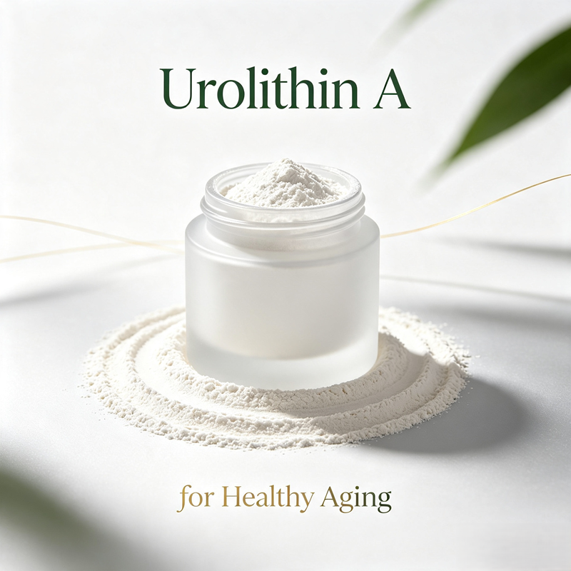 Urolithin A powder